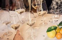Syracuse: Exclusive Sicilian Wine Tasting Experience