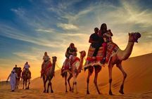 Dubai Premium Red Dunes Safari, Camels & 5* BBQ at Al Royal camp