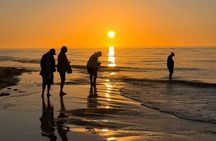 St. Pete Dolphin Watching and Island Sunset Cruise