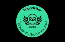 Tromsø: Northern Lights by Minibus - Free Photos and Warm Dinner