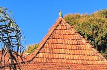 Private Cultural Tour in Campo Grande