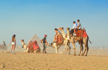 Sharm El Sheikh: Pyramids & Museum Day Tour By Bus With Lunch