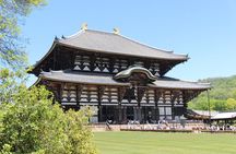 Nara Day Trip from Osaka with a Licensed Guide