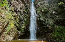 Wli Waterfall and Tafi Atome Monkey Sanctuary (Day Visit)