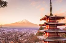 Mt. Fuji Tours with Kawaguchi Lake Ropeway View English Speaking