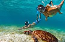 Adventurous-Snorkeling With Sightseeing of Montego Bay