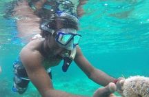 Adventurous-Snorkeling With Sightseeing of Montego Bay