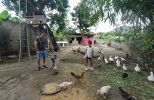 Ninh Binh Mua Cave Trang An Hoa Lu with Local Farmer House Visit