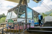 Mt Fuji & Hakone Cruise, Drum Show Bullet Train 1 Day from Tokyo 