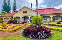 Oahu's Circle Island Tour Operated By Fil-Am Travel & Tours 