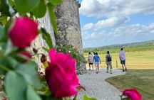 Backcountry E-Bike Adventure from Bordeaux: Wine Tasting & Lunch