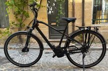 Backcountry E-Bike Adventure from Bordeaux: Wine Tasting & Lunch