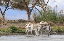 Day Tour to Hells Gate National Park 