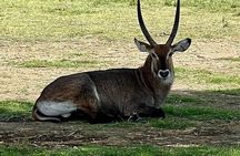 Day Tour to Hells Gate National Park 