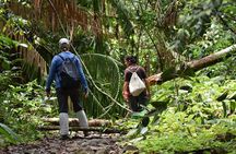 Sinharaja Rain Forest Tour from Tangalle