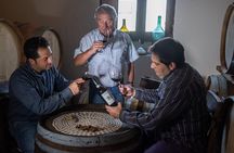 Cantine d'Irpinia: visit and tasting Taurasi from ancient vineyards