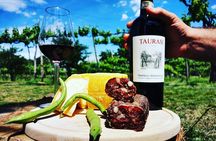 Cantine d'Irpinia: visit and tasting Taurasi from ancient vineyards