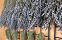 Lavender Farm Experience with Local Lunch, Day Trip from Toronto