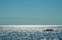 Dune Discoveries Canoe Tour in Curonian Lagoon