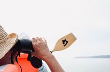 Dune Discoveries Canoe Tour in Curonian Lagoon