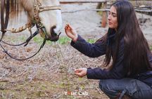 Sunset Horseback Ride on Ritoque Dunes & Beach +BBQ All-Inclusive