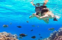 Saona by Speedboat: Private Beach & Snorkeling – Small Group