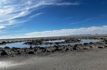 Private Tour in Spiral Jetty and Pink Lake