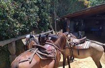 Horseback Riding in Medellin mountains