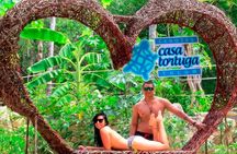 Cenotes Casa Tortuga Tulum Guided tour of the National Park