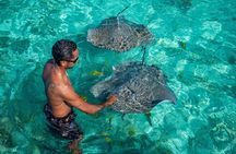 Bora Bora Full Day Manu Lagoon Excursion