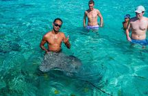Bora Bora Full Day Manu Lagoon Excursion