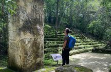 Guided Tour to Calakmul and Jungle Trail | From Bacalar.