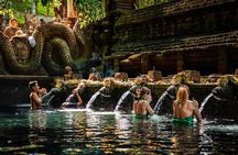 Ubud Sightseeing Private Tour - Instagramable Spot and More