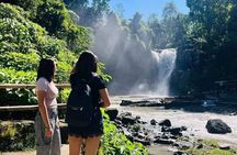 Ubud Sightseeing Private Tour - Instagramable Spot and More
