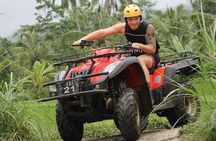 ATV Quad Bike Adventure from Hoi An or Danang