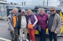 Reykjavík Shared Tuk Tuk Tour