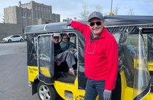 Private Reykjavík Tuk Tuk – Extended City Tour