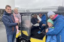 Private Reykjavík Tuk Tuk – Extended City Tour