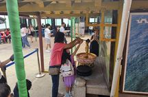 A well-rounded small group Busan tour with a certified guide