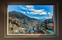 A well-rounded small group Busan tour with a certified guide