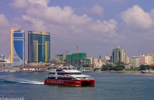  Dar Es Salaam city tour with private car