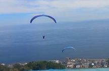 Private Paragliding Adventure and Constantia Wine Tasting Tour