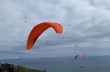 Private Paragliding Adventure and Constantia Wine Tasting Tour