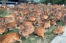 Kyoto & Nara Private Tour from Osaka Kyoto Hotel Pick-up