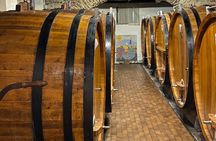 Private tour: discover Langhe wines with expert sommelier