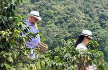 PRIVATE Tour of the Café and Ride in Pereira