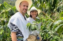 PRIVATE Tour of the Café and Ride in Pereira