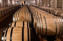 Discover Langhe wines with private tour and expert sommelier