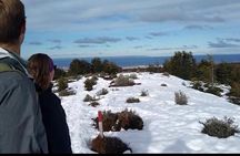 Magallanes National Reserve and Punta Arenas City Tour