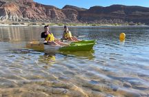 Kayak/SUP Tour: Birds, Beavers, Turtles, maybe even Cliff Jumping
